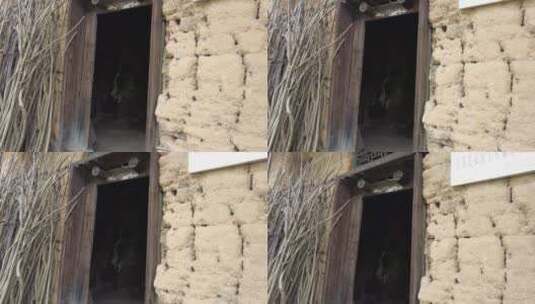 湘南农村老房子旧居泥墙3高清在线视频素材下载