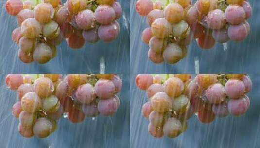 落在葡萄上的雨水高清在线视频素材下载