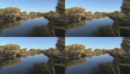 河上的树木倒影高清在线视频素材下载