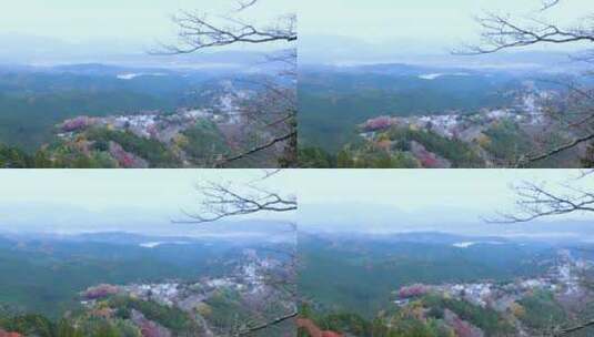日本吉野山风景高清在线视频素材下载