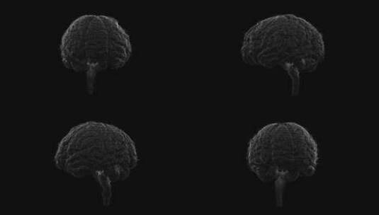 医学 大脑 脑科学 三维 脑ct1 模型高清在线视频素材下载