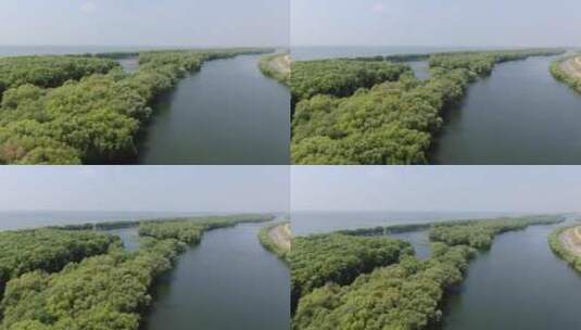 湖南岳阳洞庭湖鱼米之乡农业种植鱼塘航拍高清在线视频素材下载