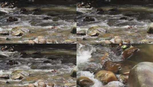 水流过岩石和原木高清在线视频素材下载