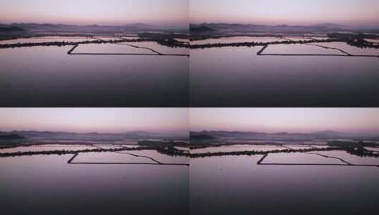 航拍傍晚绍兴诸暨山下湖珍珠蚌养殖场高清在线视频素材下载