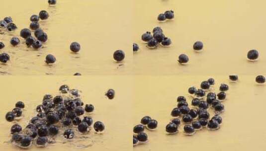 蓝莓对撞水花2高清在线视频素材下载