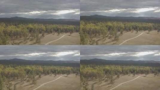 俄罗斯西伯利亚森林平原高清在线视频素材下载