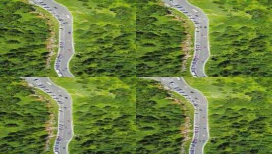 湖北神农架车辆在公路行驶航拍竖屏4K高清在线视频素材下载