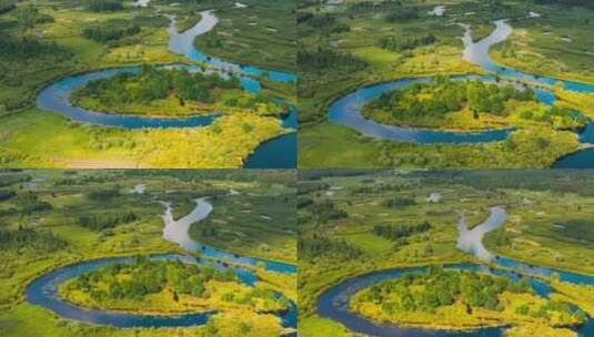 鸟瞰春天的森林河流与沼泽高清在线视频素材下载
