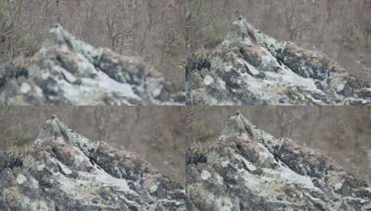岩石上的水流特写镜头高清在线视频素材下载