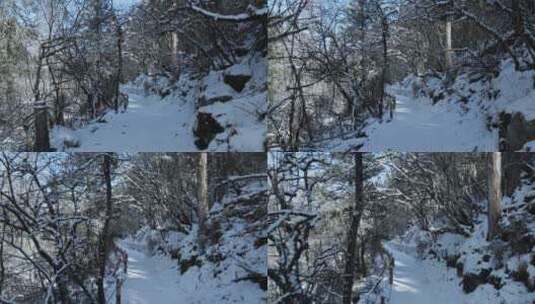 冬季毕棚沟美景积雪林间小路高清在线视频素材下载