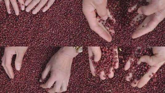 红豆五谷杂粮红豆豆子高清在线视频素材下载