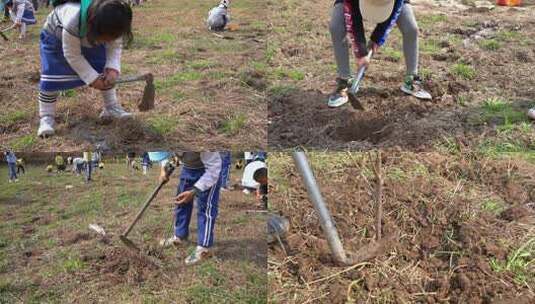 小孩儿童植树种树高清在线视频素材下载