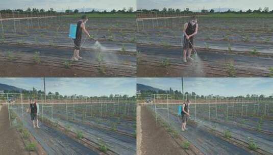 乡村振兴农民给果树喷洒杀虫剂高清在线视频素材下载