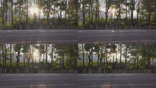 阳光穿过树林清晰空镜高清在线视频素材下载