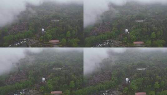 雅安名山区雨中蒙顶山 (9)高清在线视频素材下载