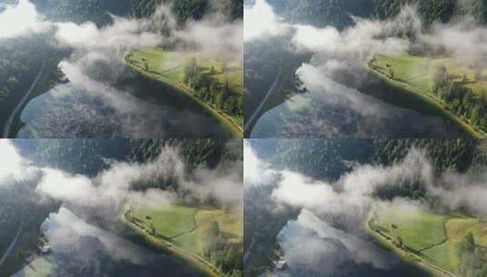 在清晨的雾中飞越森林，费尔琴湖，巴伐利亚高清在线视频素材下载