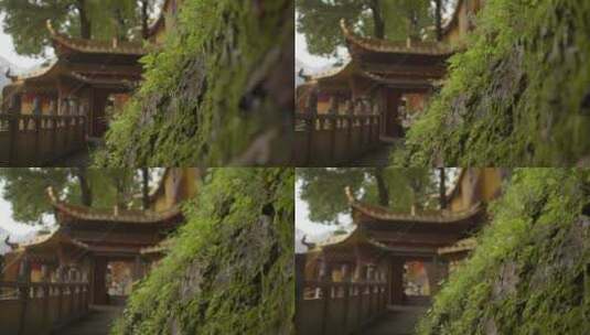 寺庙前的绿色植物高清在线视频素材下载