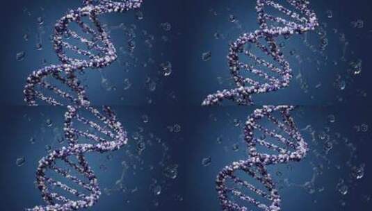 DNA基因链动画高清在线视频素材下载