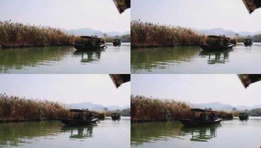 中国杭州西溪湿地摇橹船河中前行高清在线视频素材下载
