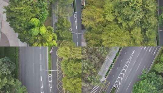 深圳南山区深南大道绿化带航拍高清在线视频素材下载