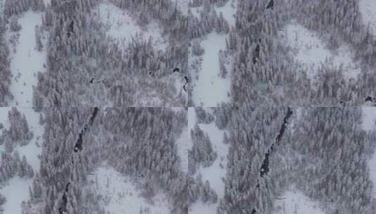航拍新疆喀纳斯森林雪景高清在线视频素材下载