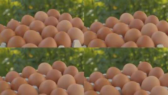新鲜鸡蛋高清在线视频素材下载