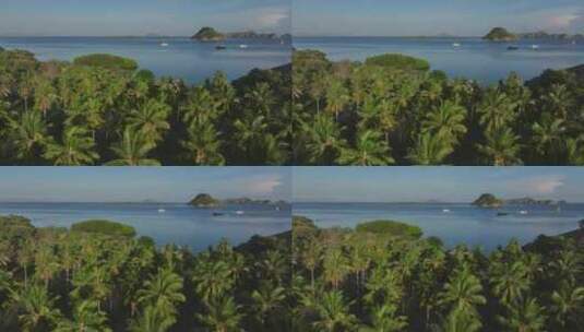 印尼东努沙登加拉热带岛屿棕榈树自然风光高清在线视频素材下载