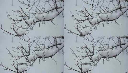 冬天唯美下雪场景高清在线视频素材下载
