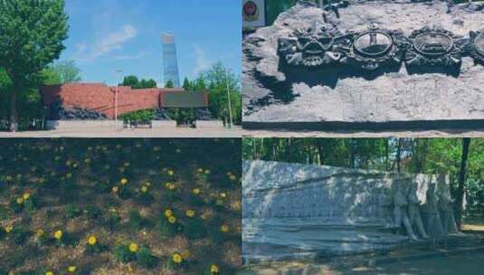 沈阳市和平区八一公园风景4K视频素材高清在线视频素材下载