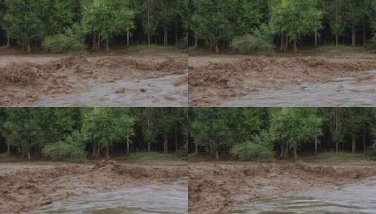 实拍暴雨后洪水 山洪  泥石流高清在线视频素材下载