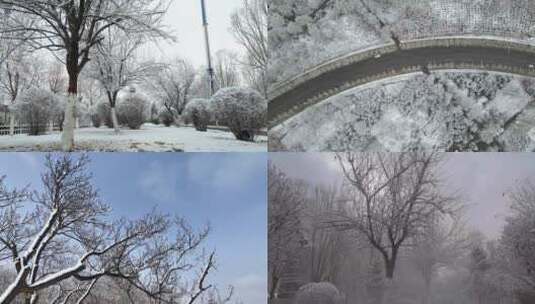 雪景 春雪 鹅毛大雪 下雪  雪高清在线视频素材下载