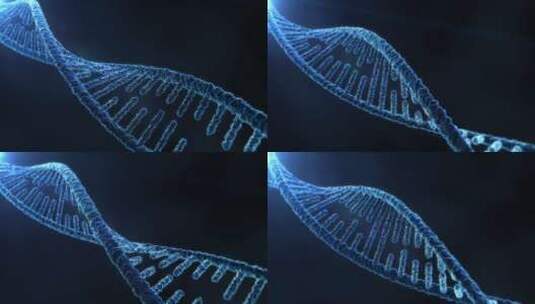 DNA分子结构高清在线视频素材下载