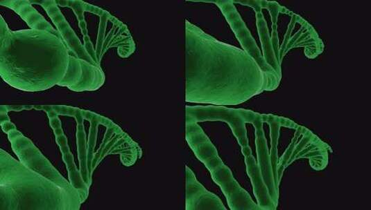 DNA分子，双螺旋链高清在线视频素材下载