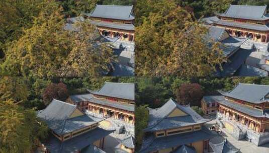 秋日的芜湖浮山寺古银杏风光高清在线视频素材下载