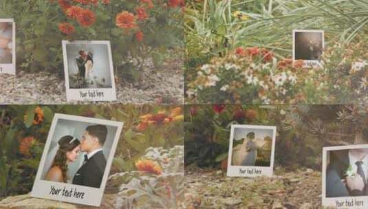 草地浪漫婚礼照片回忆AE模板高清AE视频素材下载