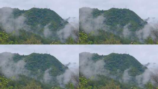 山中森林云雾缭绕的绝美自然风光高清在线视频素材下载