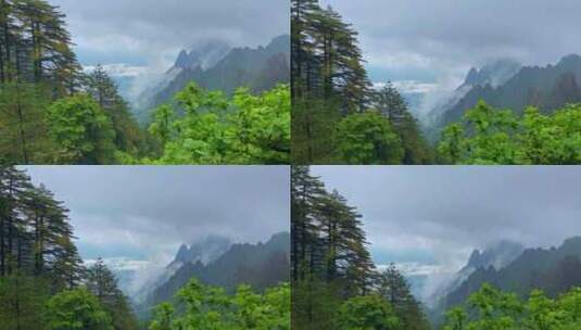 安徽黄山风景区雨后云海水墨风景区宣传片高清在线视频素材下载