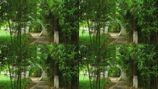 江南园林竹林竹子唯美的禅意空镜高清在线视频素材下载