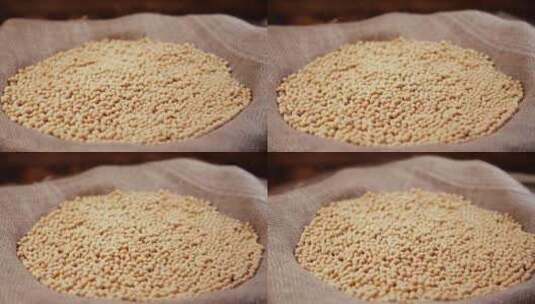 黄豆豆子豆农产品农作物优质黄豆高清在线视频素材下载