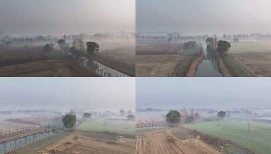 上海 嘉定 郊野公园晨雾高清在线视频素材下载