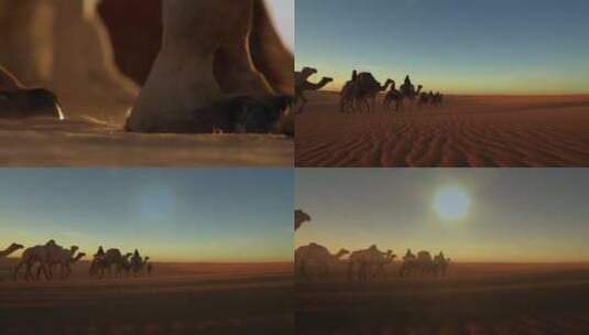 沙漠骆驼队镜头组02高清在线视频素材下载