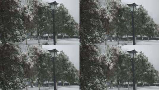 雪花飘落的慢镜头高清在线视频素材下载