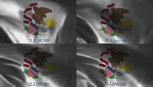 伊利诺伊州挥舞旗帜。伊利诺伊州旗帜挥舞动高清在线视频素材下载
