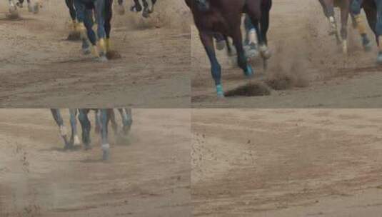 赛马 少数民族传统体育运动会赛马项目高清在线视频素材下载