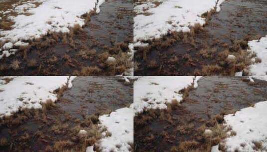 覆盖着白雪的泥潭沼泽地高清在线视频素材下载