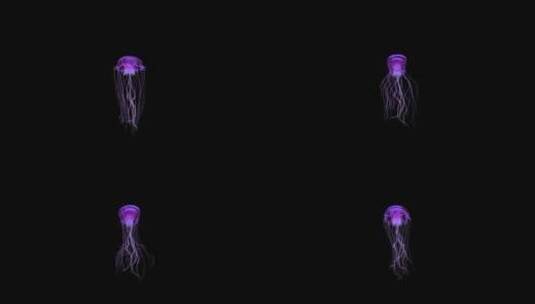 紫色水母高清在线视频素材下载
