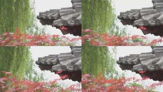 中国寺庙古建筑屋檐树叶前景空镜实拍高清在线视频素材下载