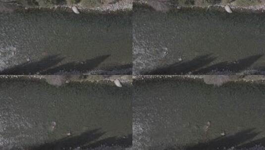 航拍 新疆 河流 近景 小溪 石头 俯拍 清澈高清在线视频素材下载