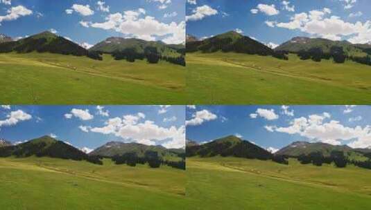中国新疆伊犁那拉提草原自然风景高清在线视频素材下载