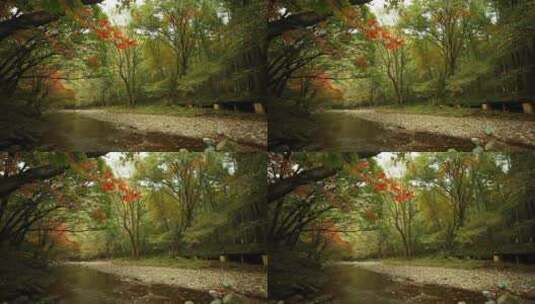 枫叶秋季风景高清在线视频素材下载
